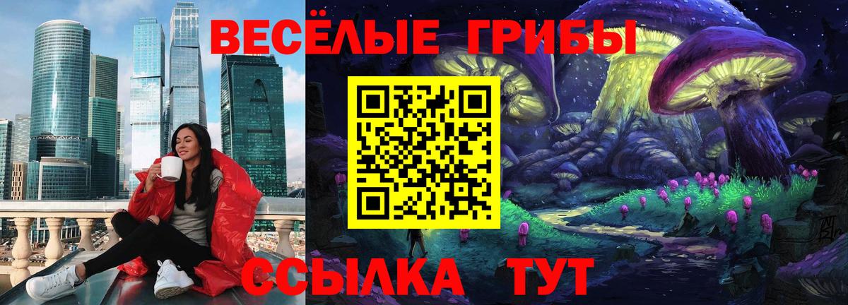 Псилоцибиновые грибы MAGIC MUSHROOMS Егорьевск
