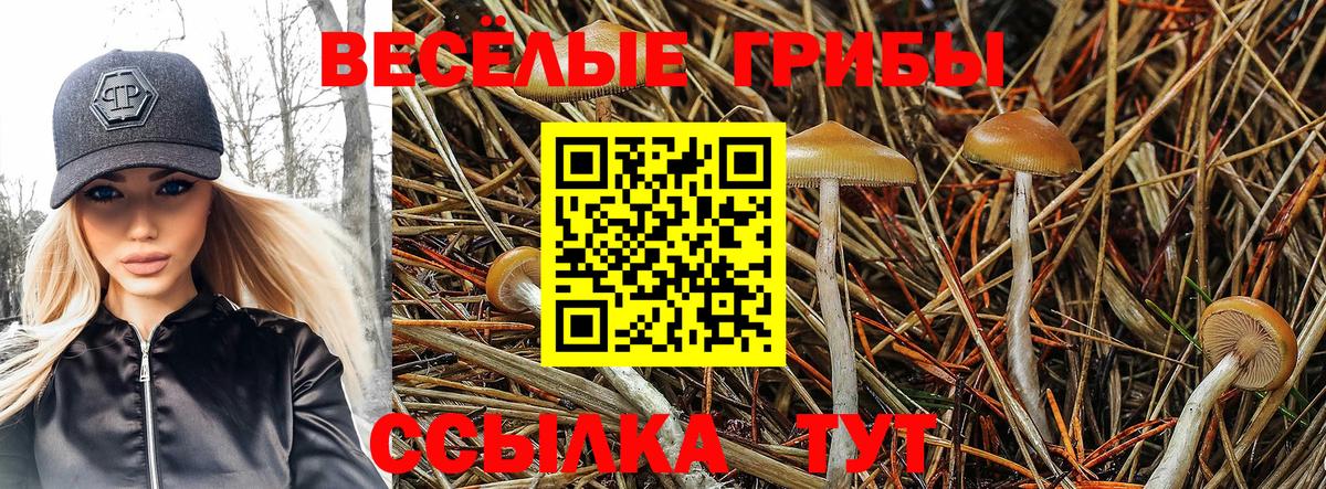 Псилоцибиновые грибы MAGIC MUSHROOMS  Вход с VPN  Псилоцибиновые грибы мухоморы  где купить наркотик  Егорьевск 